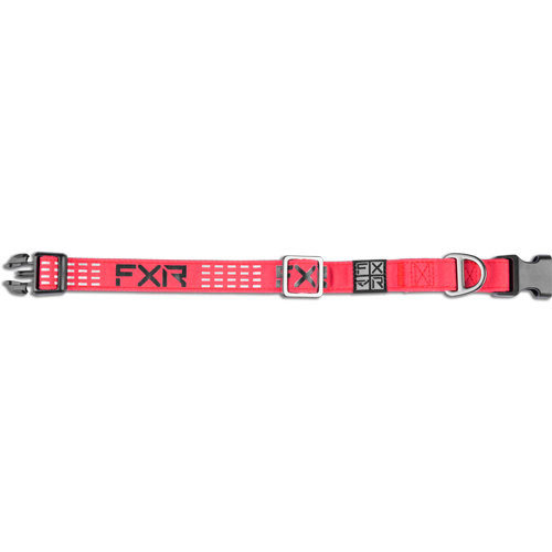 DOG COLLAR 24 RAZZ/BLACK