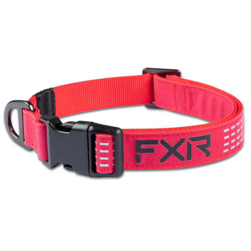 Collar Perro FXR Razz/Black